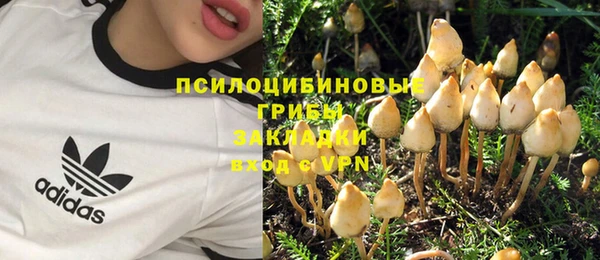 твердый Ладушкин