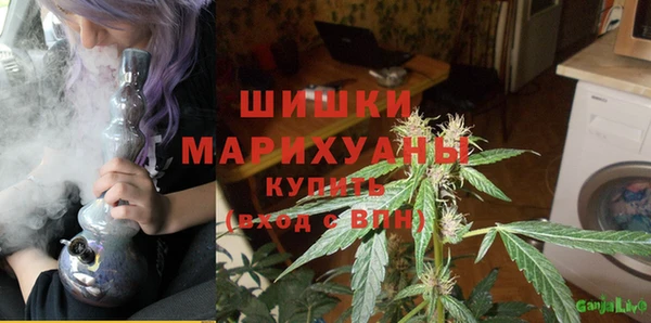 твердый Ладушкин