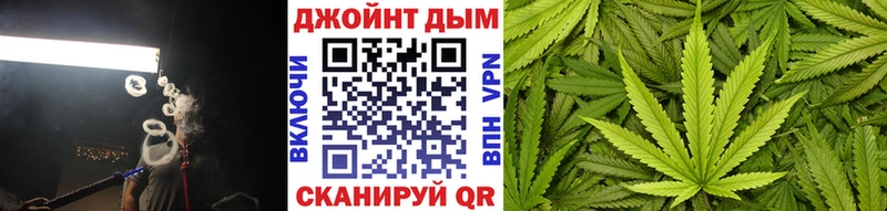 Канабис Ganja  Купить закладки  Оса 